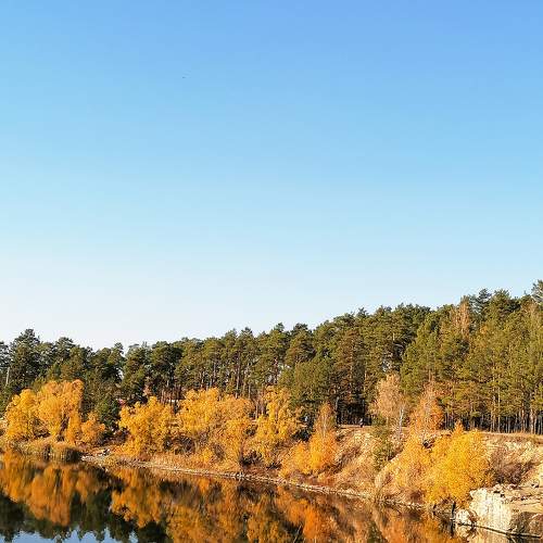 Photo #8317692