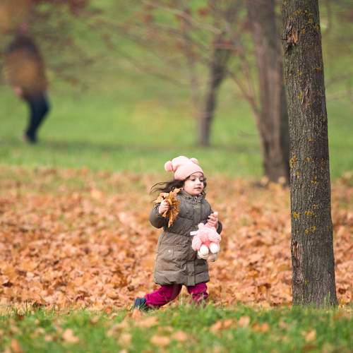 Photo #8317712