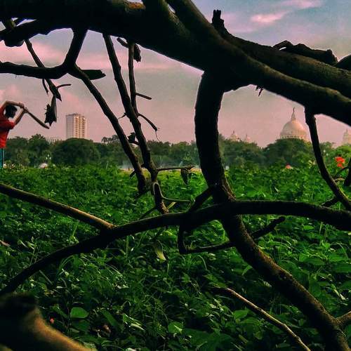 Photo #8317823