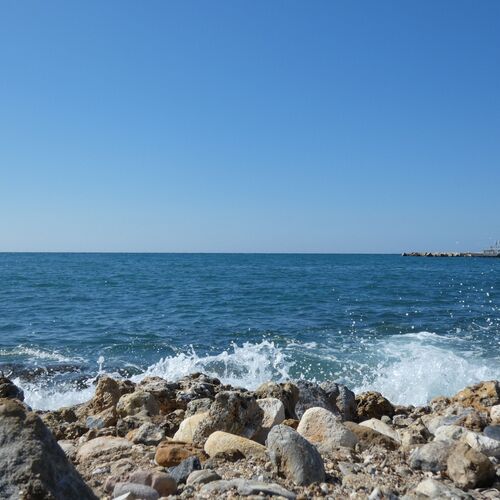 Photo #8318379