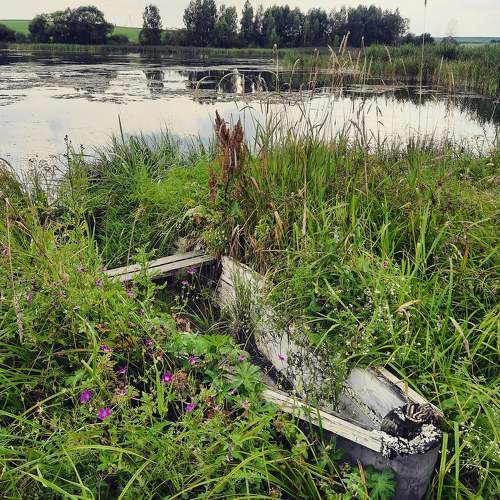 Photo #8318435