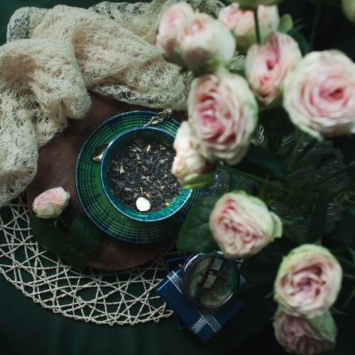Photo #8318450