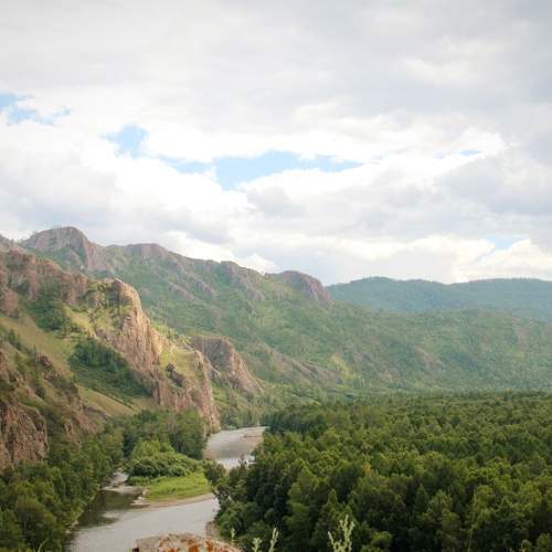 Photo #8318515
