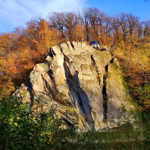 Photo #8318717