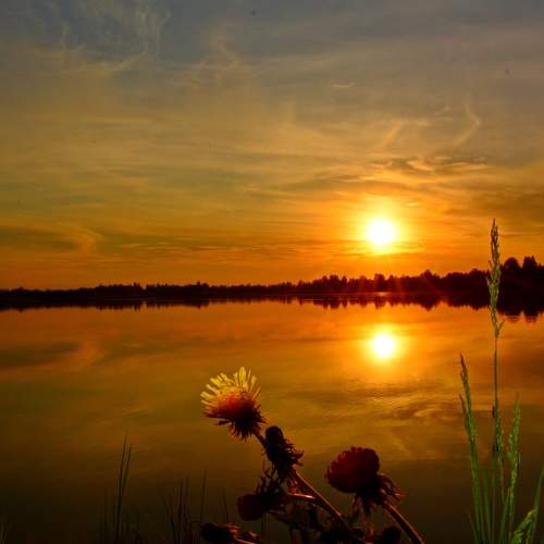 Photo #8319239