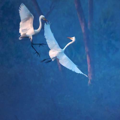 Photo #8319264