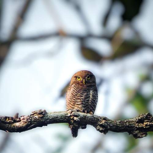 Photo #8319273