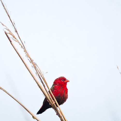 Photo #8319407