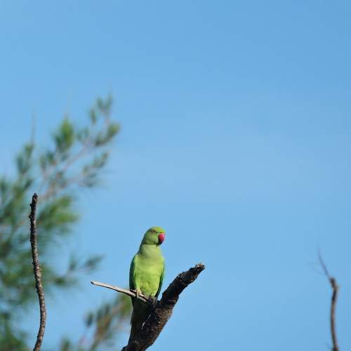 Photo #8319494