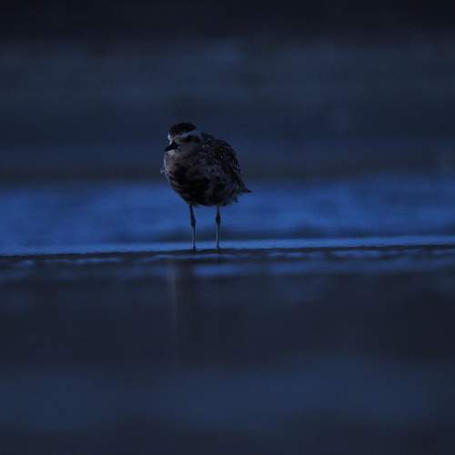 Photo #8319525