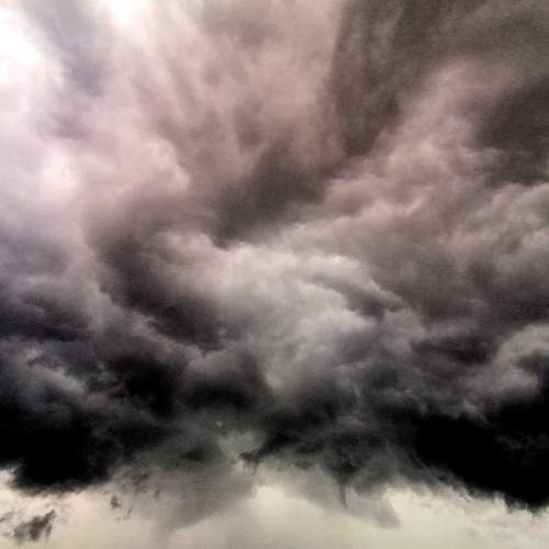 Photo #8319690