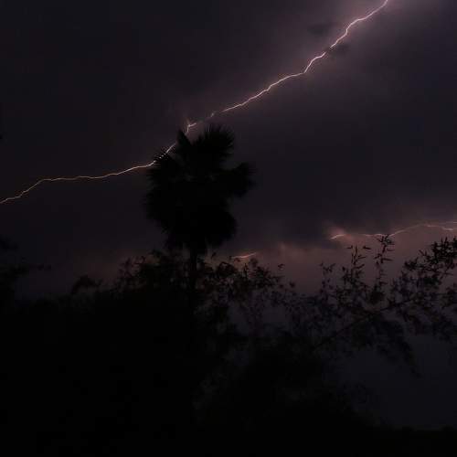 Photo #8320074