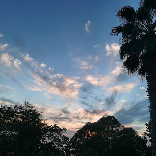 Photo #8320394