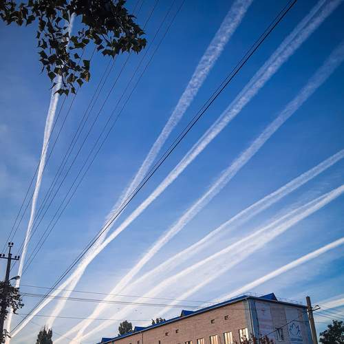 Photo #8321337