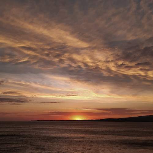 Photo #8321343