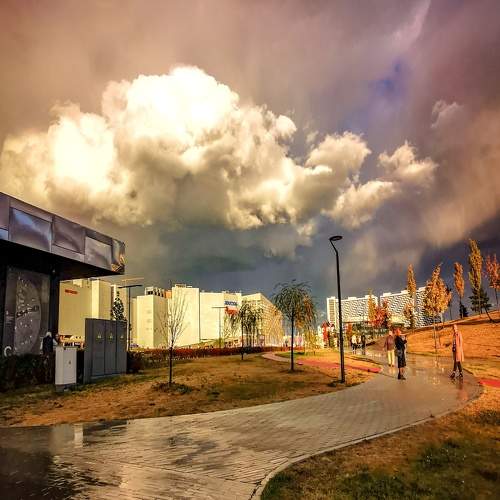 Photo #8321504