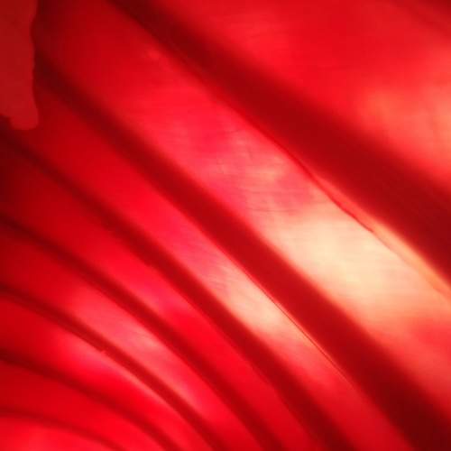 Photo #8321977