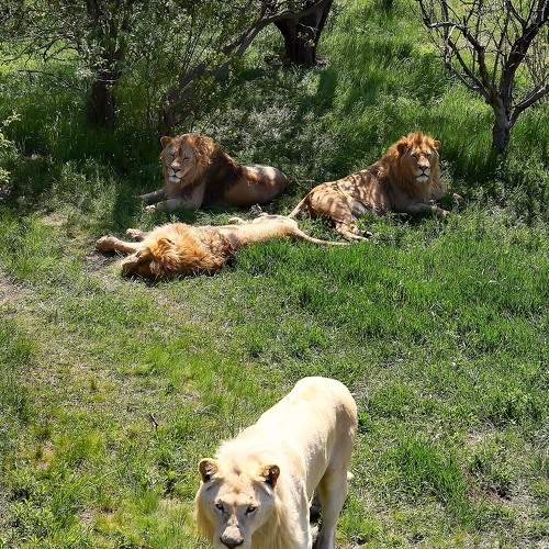 Photo #8322451