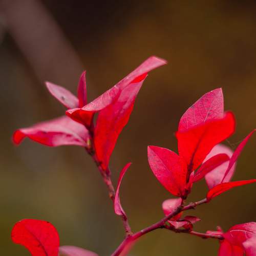 Photo #8322842