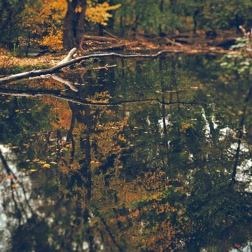 Photo #8323835