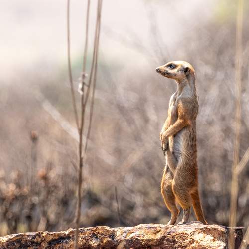 Photo #8323972