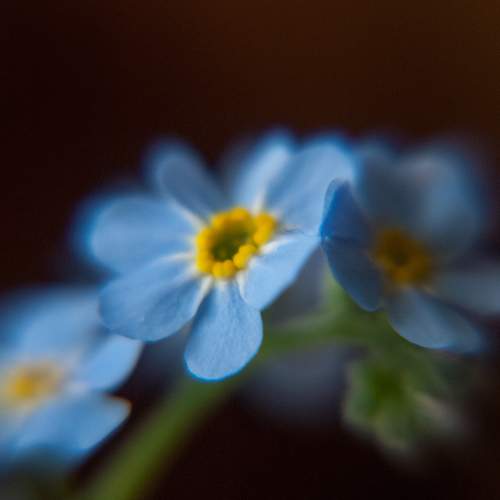 Photo #8324116