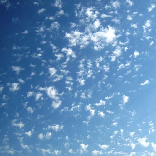 Photo #8324138