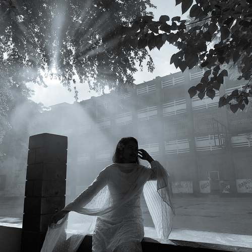 Photo #8324613