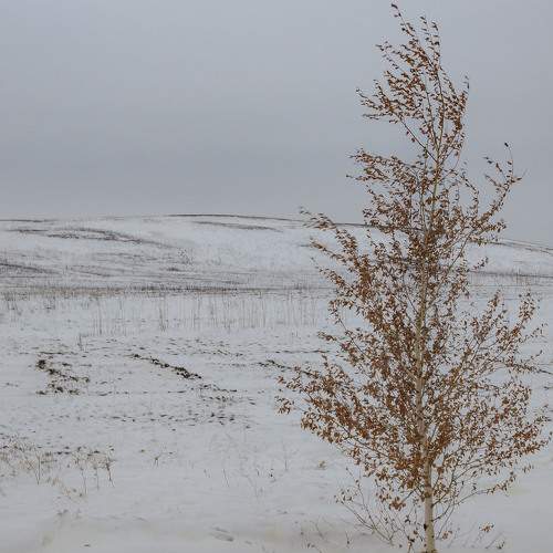 Photo #8324717