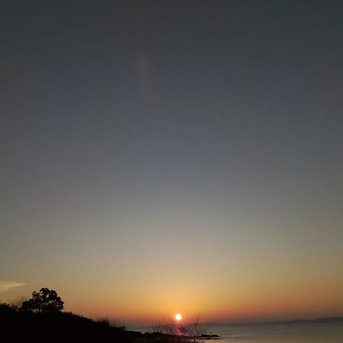 Photo #8324735