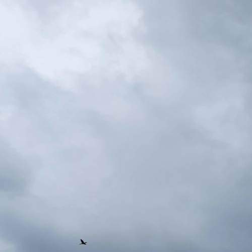 Photo #8324739