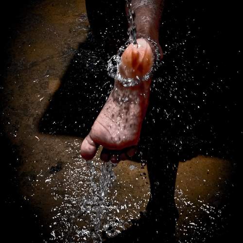 Photo #8325001