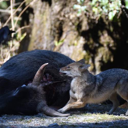 Photo #8325331