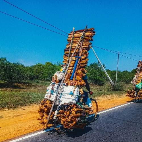 Photo #8325334