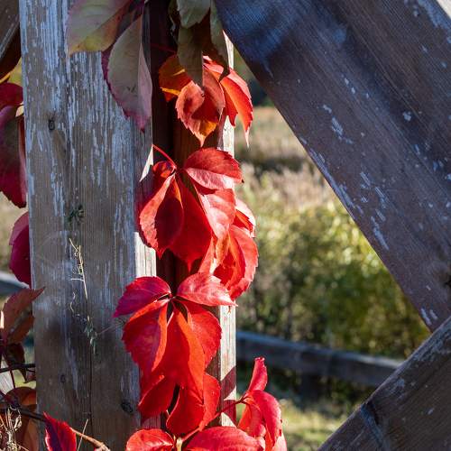 Photo #8325502