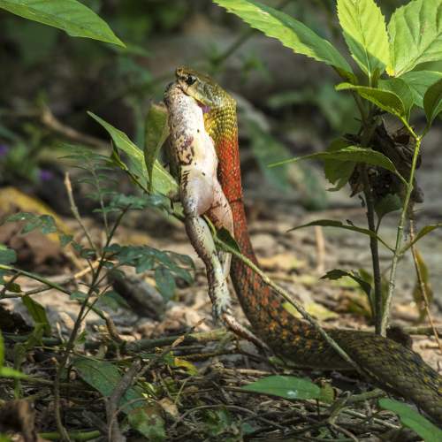 Photo #8325677