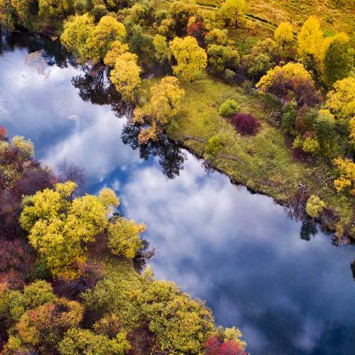 Photo #8326268