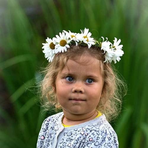 Photo #8326975
