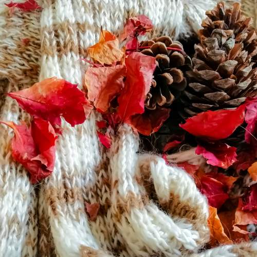 Photo #8327090