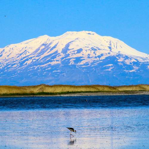 Photo #8327133