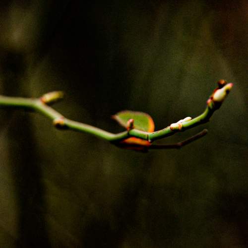 Photo #8327406