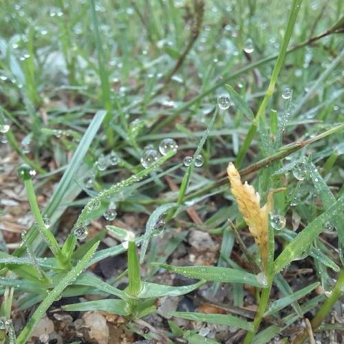 Photo #8327774