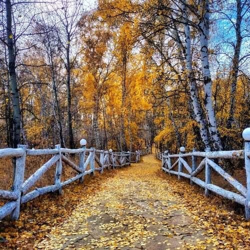 Photo #8327777