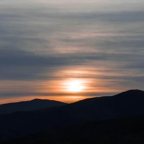 Photo #8327994