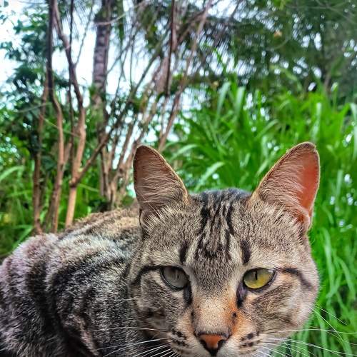 Photo #8328228