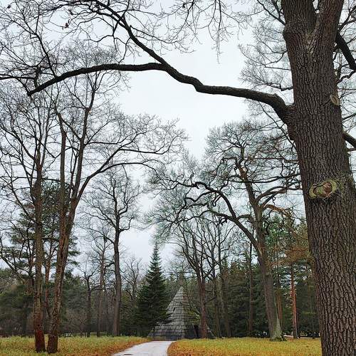 Photo #8328229