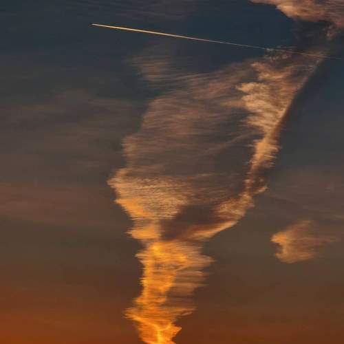Photo #8328392