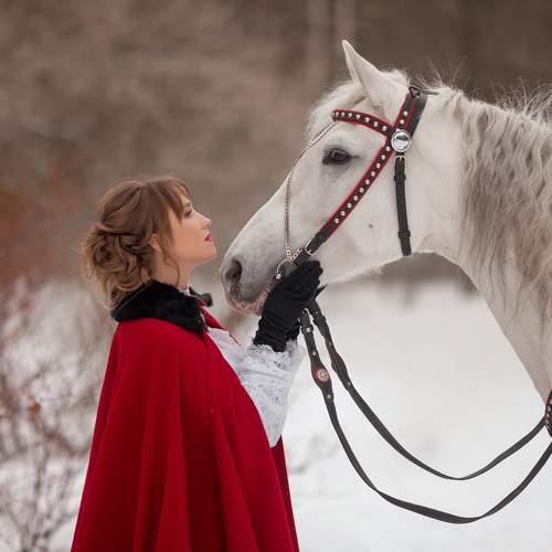 Photo #8328541