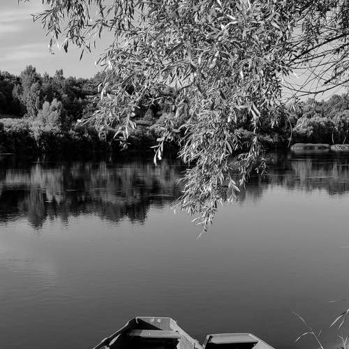 Photo #8328660