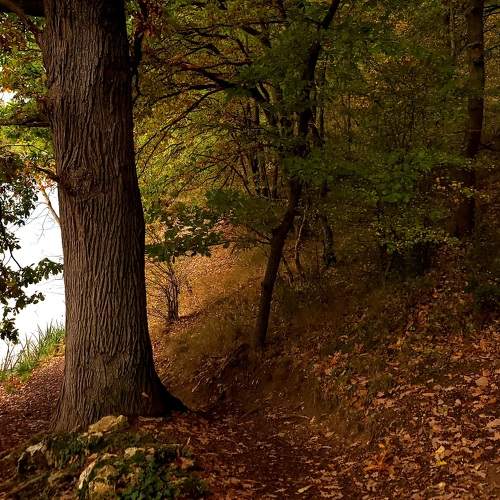 Photo #8328780
